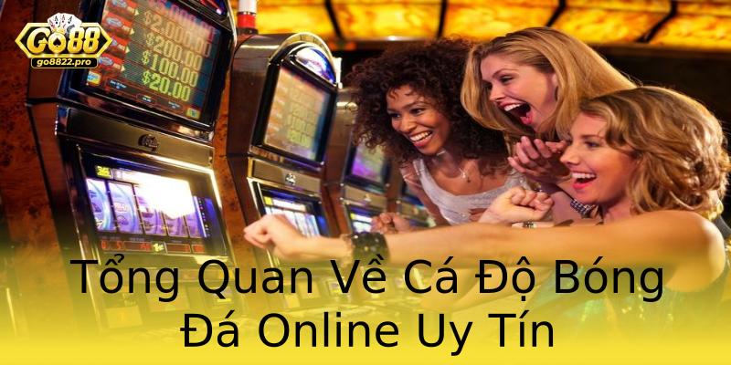Tổng Quan Về Cá Độ Bóng Đá Online Uy Tín